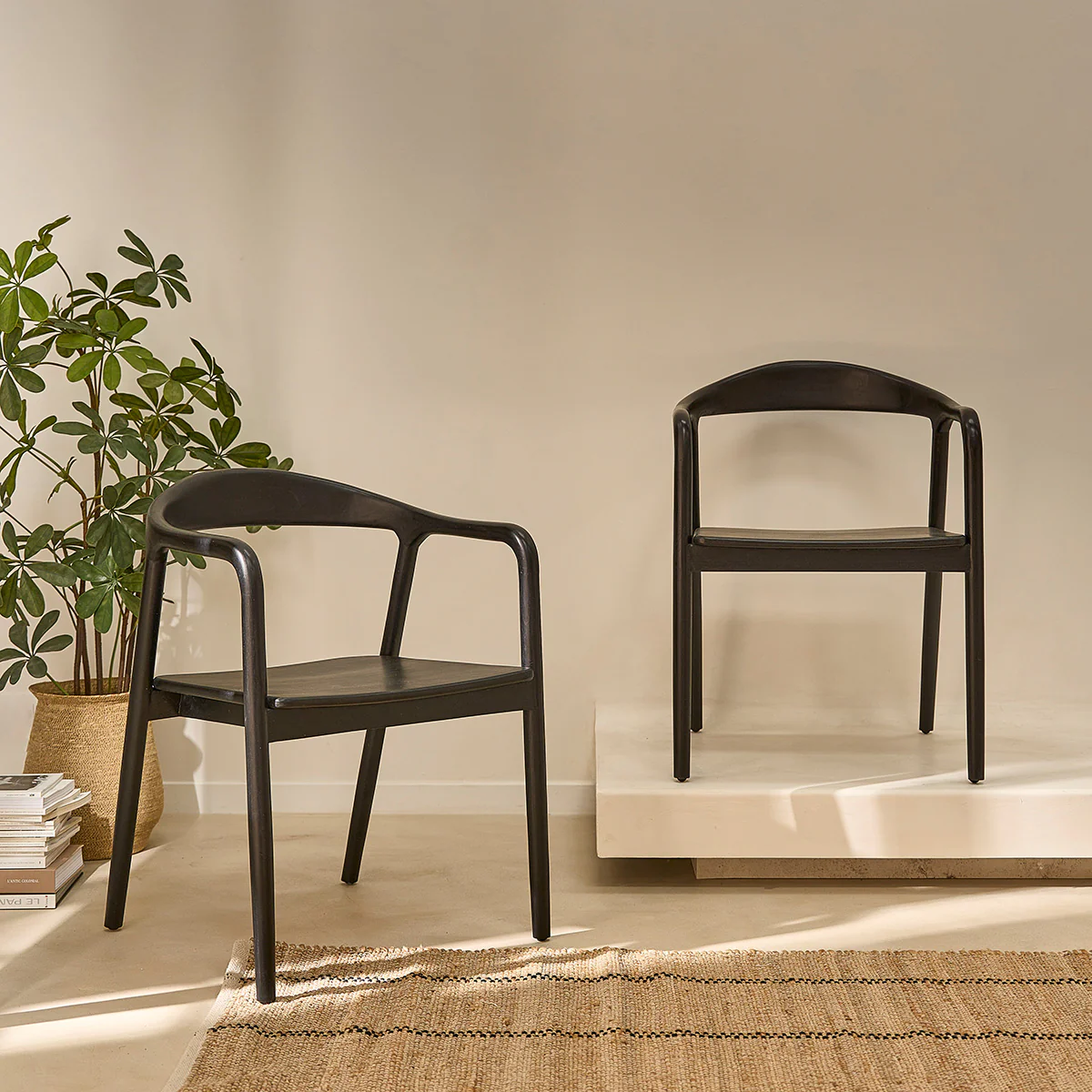 Lot de 2 chaises en teck massif noire
